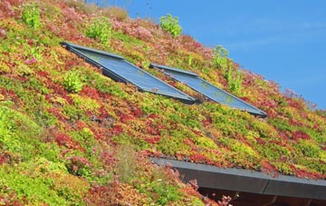Newdigate living roof systems
